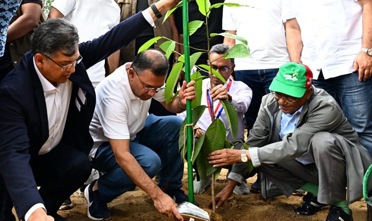 সারা দেশে ২৫ কোটি বৃক্ষরোপণ কর্মসূচি উদ্বোধন করলেন প্রধানমন্ত্রী