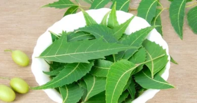 বর্ষায় গোসলের পানিতে নিমপাতা মেশানোর যত উপকার