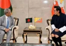 ঢাকায় ভুটানের রাজার যাত্রাবিরতি, সৌজন্য সাক্ষাৎ করলেন রাষ্ট্রপতি