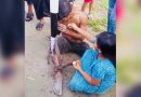 বাবার প্রতি ছোট্ট মেয়ের ভালোবাসার অনন্য দৃষ্টান্ত