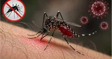 ডেঙ্গুতে সাতদিনে ৩৩ জনের মৃত্যু