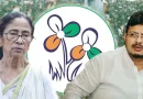 তৃণমূলের প্রতীক জোড়াফুল হাতছাড়া হলো মমতার