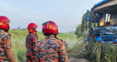 ঢাকা-মাওয়া এক্সপ্রেসওয়েতে বাস খাদে পড়ে ৩ যাত্রী নিহত